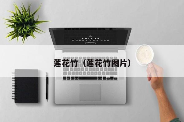 莲花竹（莲花竹图片）