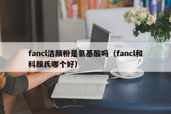 fancl洁颜粉是氨基酸吗（fancl和科颜氏哪个好）