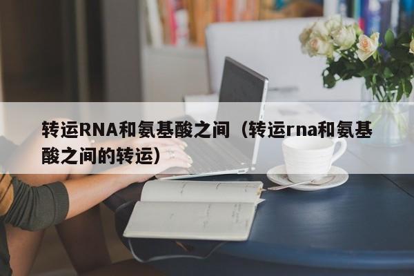 转运RNA和氨基酸之间（转运rna和氨基酸之间的转运）