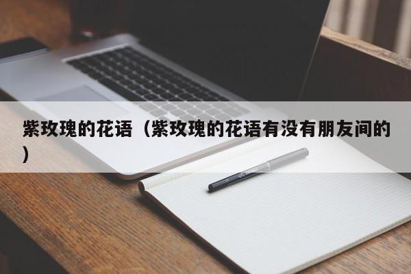 紫玫瑰的花语（紫玫瑰的花语有没有朋友间的）