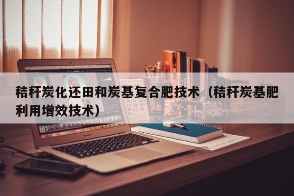 秸秆炭化还田和炭基复合肥技术（秸秆炭基肥利用增效技术）