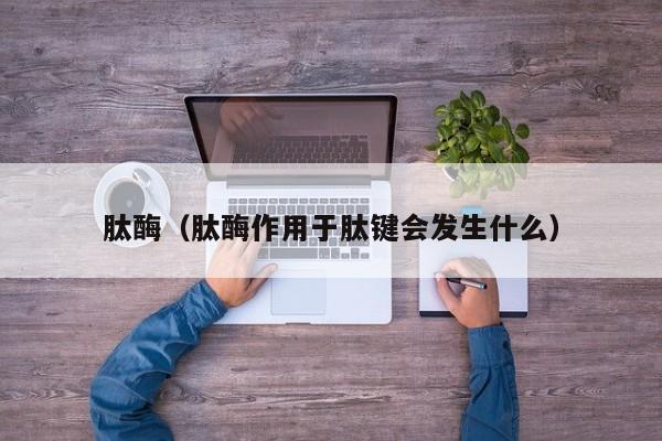 肽酶（肽酶作用于肽键会发生什么）
