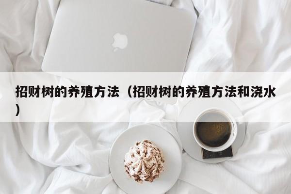 招财树的养殖方法（招财树的养殖方法和浇水）
