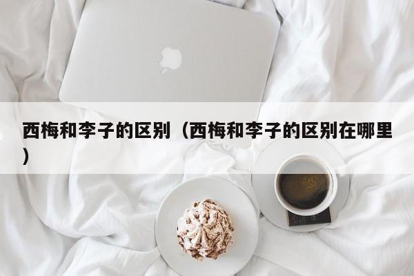 西梅和李子的区别（西梅和李子的区别在哪里）