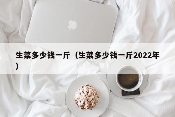 生菜多少钱一斤（生菜多少钱一斤2022年）