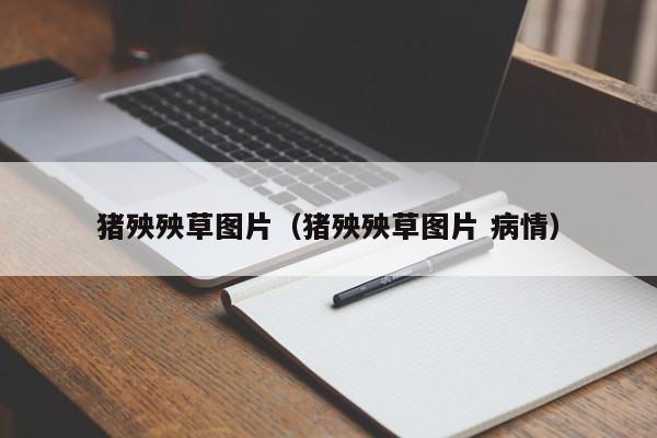 猪殃殃草图片（猪殃殃草图片 病情）