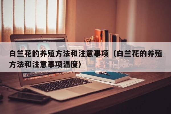 白兰花的养殖方法和注意事项（白兰花的养殖方法和注意事项温度）