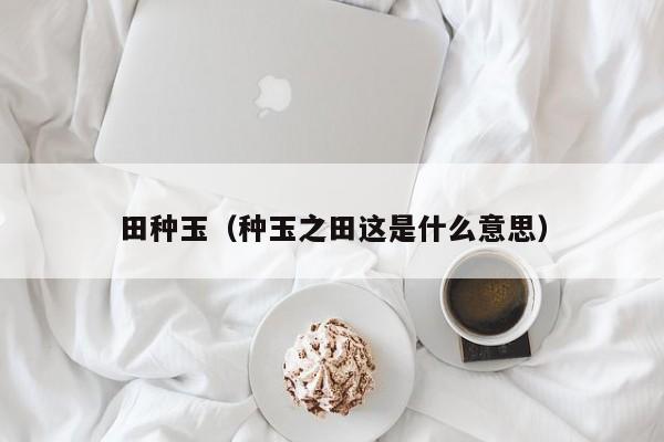 田种玉（种玉之田这是什么意思）