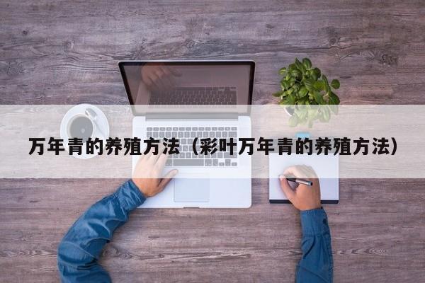 万年青的养殖方法（彩叶万年青的养殖方法）