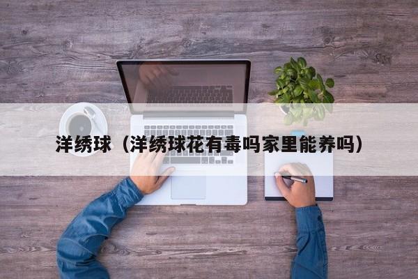 洋绣球（洋绣球花有毒吗家里能养吗）