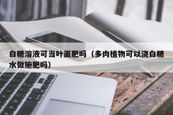 白糖溶液可当叶面肥吗（多肉植物可以浇白糖水做施肥吗）