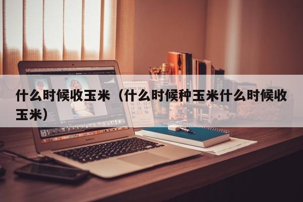 什么时候收玉米（什么时候种玉米什么时候收玉米）