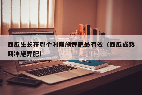 西瓜生长在哪个时期施钾肥最有效（西瓜成熟期冲施钾肥）