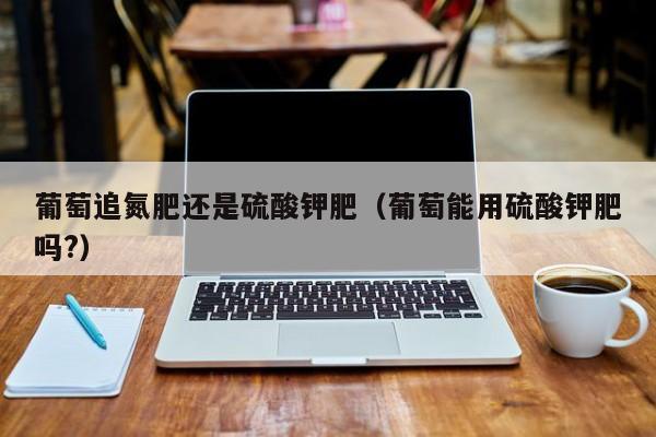 葡萄追氮肥还是硫酸钾肥（葡萄能用硫酸钾肥吗?）