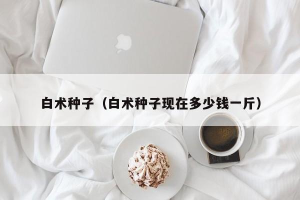 白术种子（白术种子现在多少钱一斤）