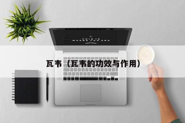 瓦韦（瓦韦的功效与作用）