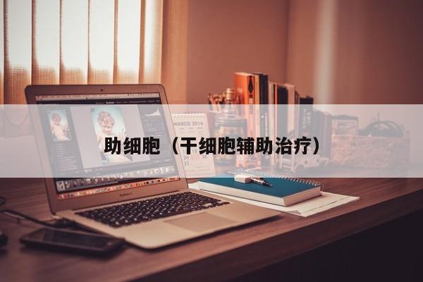 助细胞（干细胞辅助治疗）