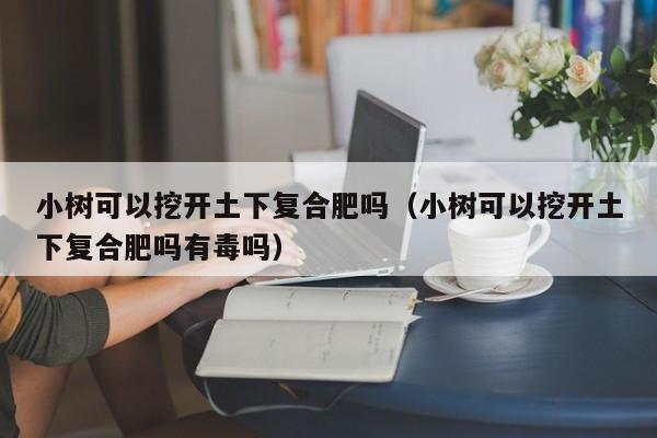 小树可以挖开土下复合肥吗（小树可以挖开土下复合肥吗有毒吗）