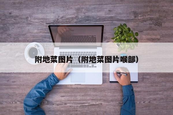 附地菜图片（附地菜图片喉部）