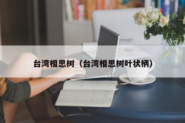 台湾相思树（台湾相思树叶状柄）