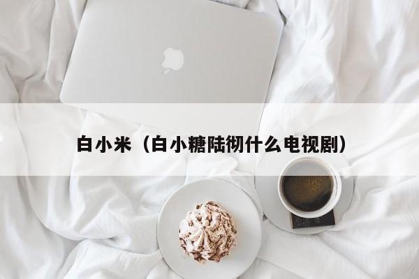 白小米（白小糖陆彻什么电视剧）