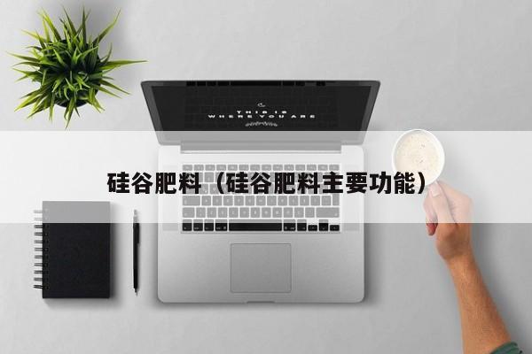 硅谷肥料（硅谷肥料主要功能）