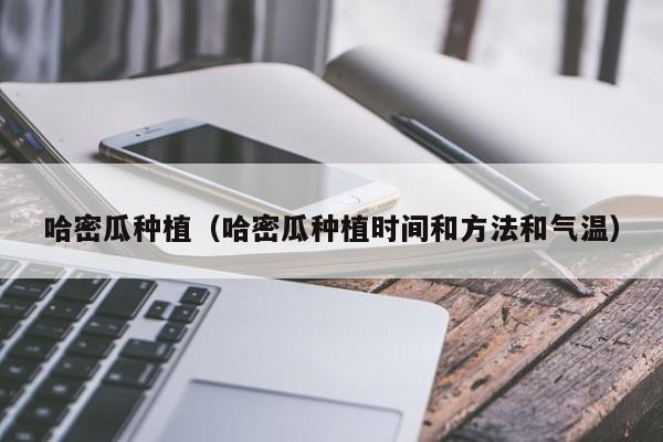 哈密瓜种植（哈密瓜种植时间和方法和气温）