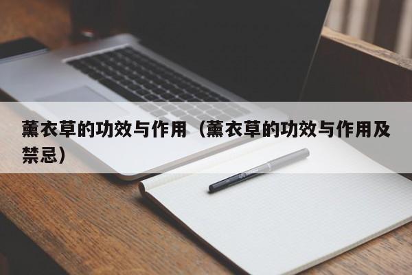 薰衣草的功效与作用（薰衣草的功效与作用及禁忌）