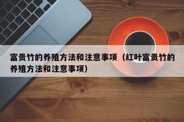富贵竹的养殖方法和注意事项（红叶富贵竹的养殖方法和注意事项）