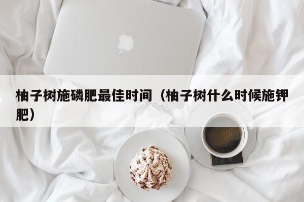 柚子树施磷肥最佳时间（柚子树什么时候施钾肥）