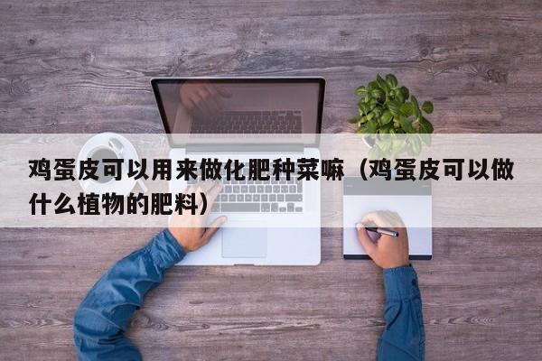 鸡蛋皮可以用来做化肥种菜嘛（鸡蛋皮可以做什么植物的肥料）
