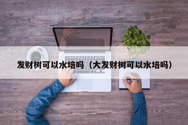 发财树可以水培吗（大发财树可以水培吗）