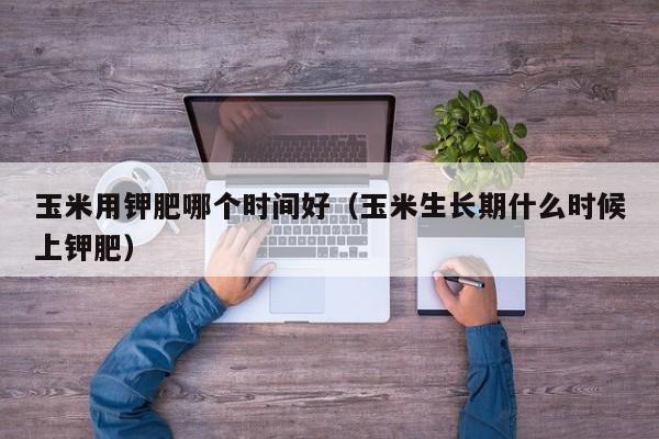 玉米用钾肥哪个时间好（玉米生长期什么时候上钾肥）