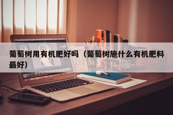葡萄树用有机肥好吗（葡萄树施什么有机肥料最好）