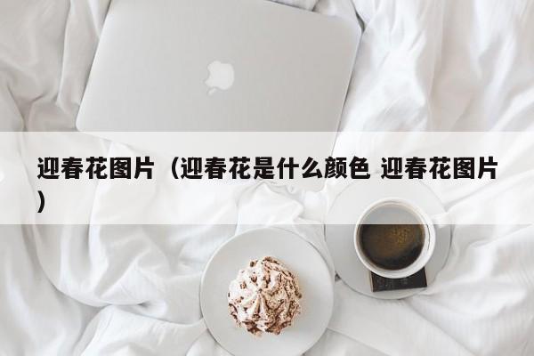 迎春花图片（迎春花是什么颜色 迎春花图片）