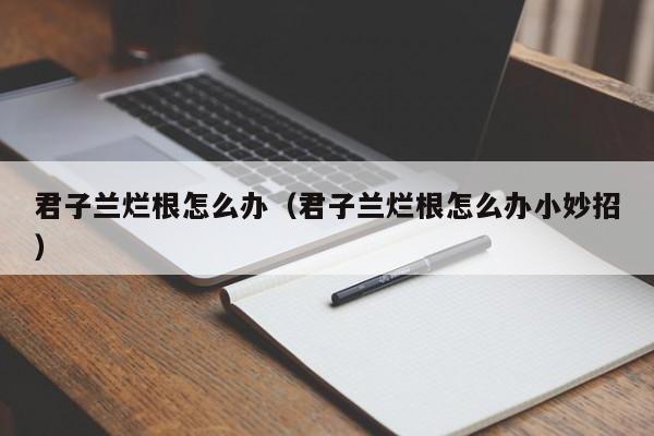君子兰烂根怎么办（君子兰烂根怎么办小妙招）