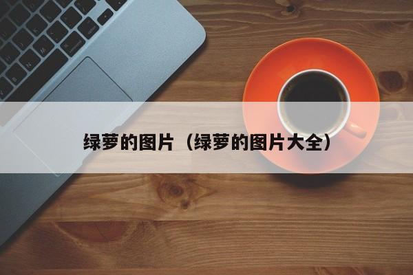 绿萝的图片（绿萝的图片大全）
