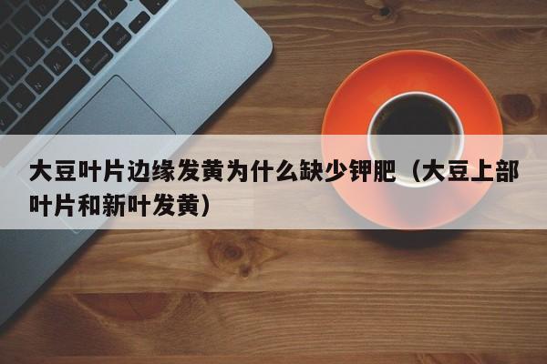 大豆叶片边缘发黄为什么缺少钾肥（大豆上部叶片和新叶发黄）
