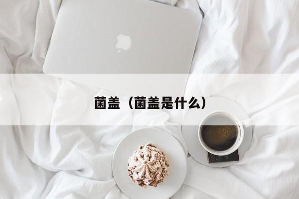 菌盖（菌盖是什么）