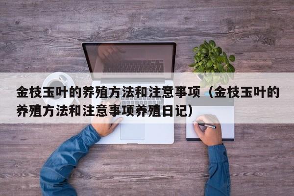 金枝玉叶的养殖方法和注意事项（金枝玉叶的养殖方法和注意事项养殖日记）