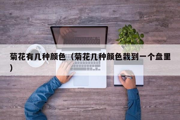 菊花有几种颜色（菊花几种颜色栽到一个盘里）
