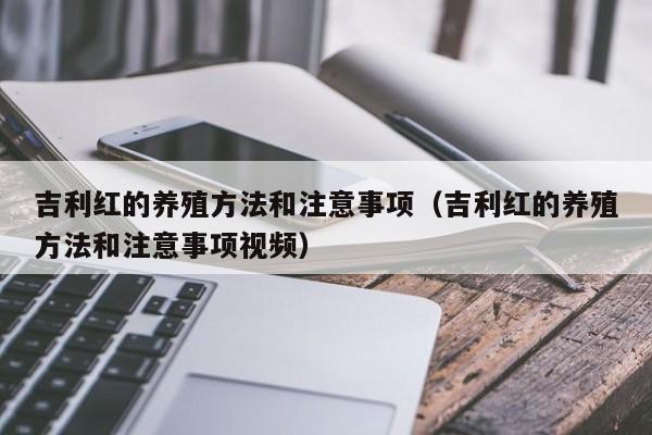 吉利红的养殖方法和注意事项（吉利红的养殖方法和注意事项视频）