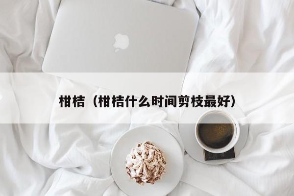 柑桔（柑桔什么时间剪枝最好）