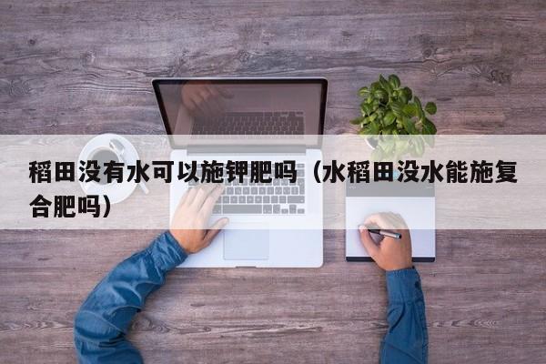 稻田没有水可以施钾肥吗（水稻田没水能施复合肥吗）