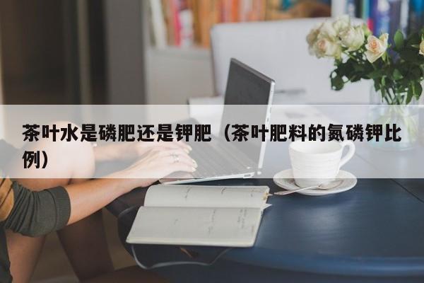 茶叶水是磷肥还是钾肥（茶叶肥料的氮磷钾比例）