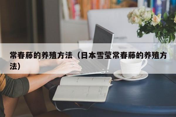 常春藤的养殖方法（日本雪莹常春藤的养殖方法）