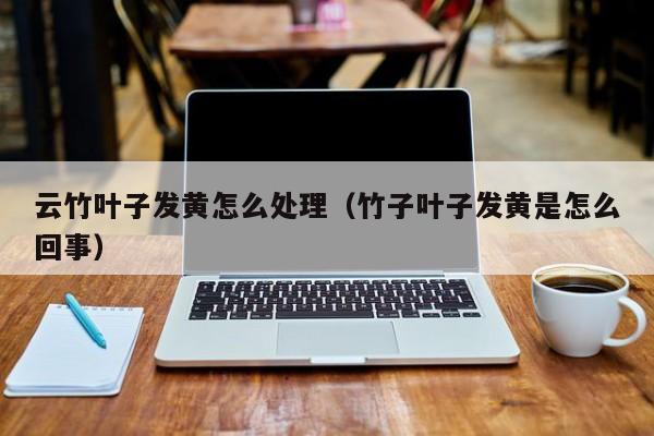 云竹叶子发黄怎么处理（竹子叶子发黄是怎么回事）