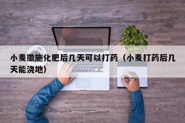 小麦撒施化肥后几天可以打药（小麦打药后几天能浇地）