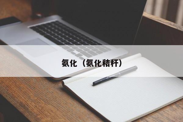 氨化（氨化秸秆）