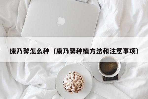 康乃馨怎么种（康乃馨种植方法和注意事项）